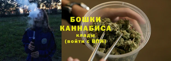 эйфоретик Белокуриха