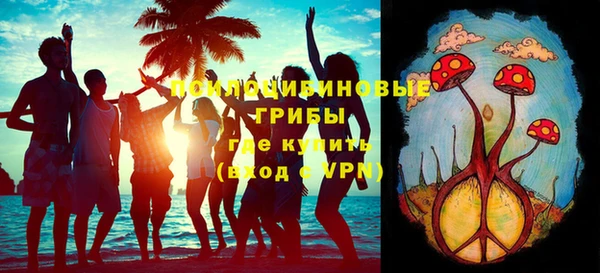 эйфоретик Белокуриха