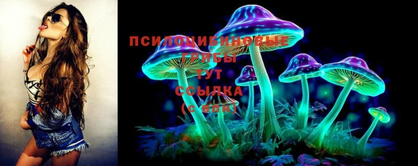 эйфоретик Белокуриха